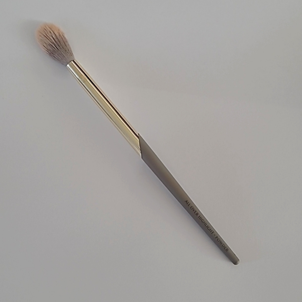 All Over Highlight • Powder Brush